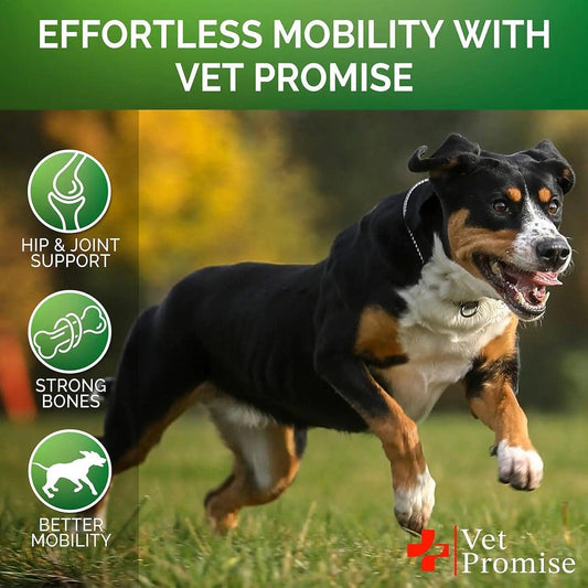 Mobility Max Dog Hip & Joint Care Dual Pack - MANDOTOS