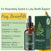 Mullein Herbal Extract - MANDOTOS