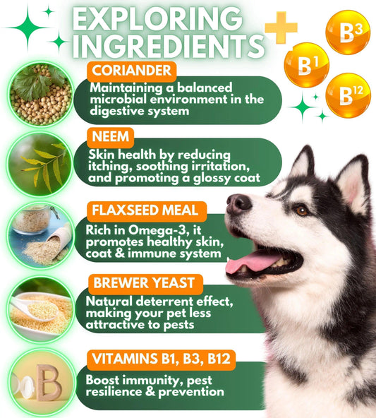 Natural Flea & Tick Guard Chewables for Dogs 120ct - MANDOTOS