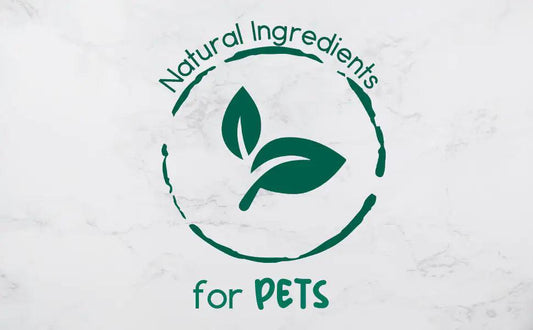 NatureBuddy Handcrafted Pet Soap, Oat 5.8 oz - MANDOTOS