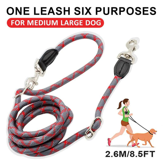 NightSafe Reflective Dog Leash - MANDOTOS