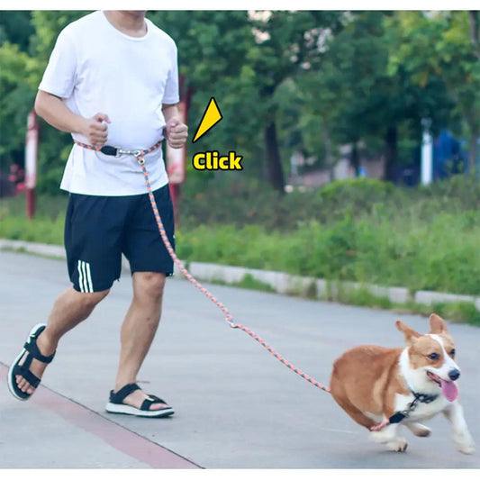 NightSafe Reflective Dog Leash - MANDOTOS