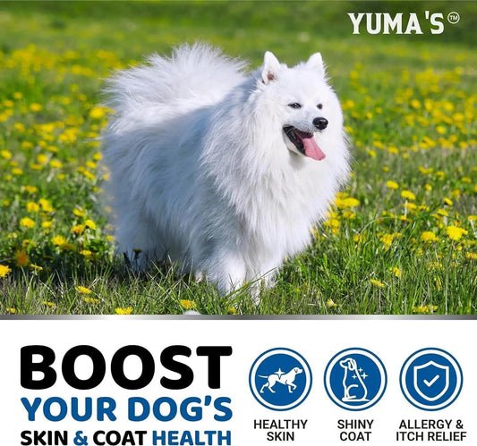 Omega 3 Chewables for Dog Coat & Skin Health - MANDOTOS