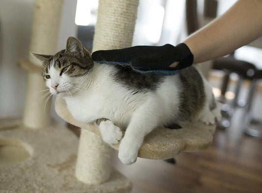 Pet Hair Removal Glove - MANDOTOS