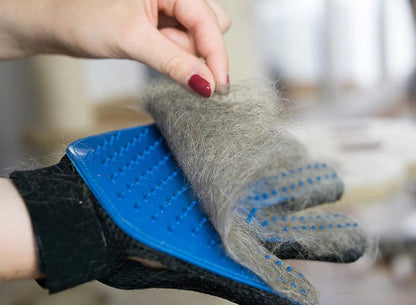 Pet Hair Removal Glove - MANDOTOS
