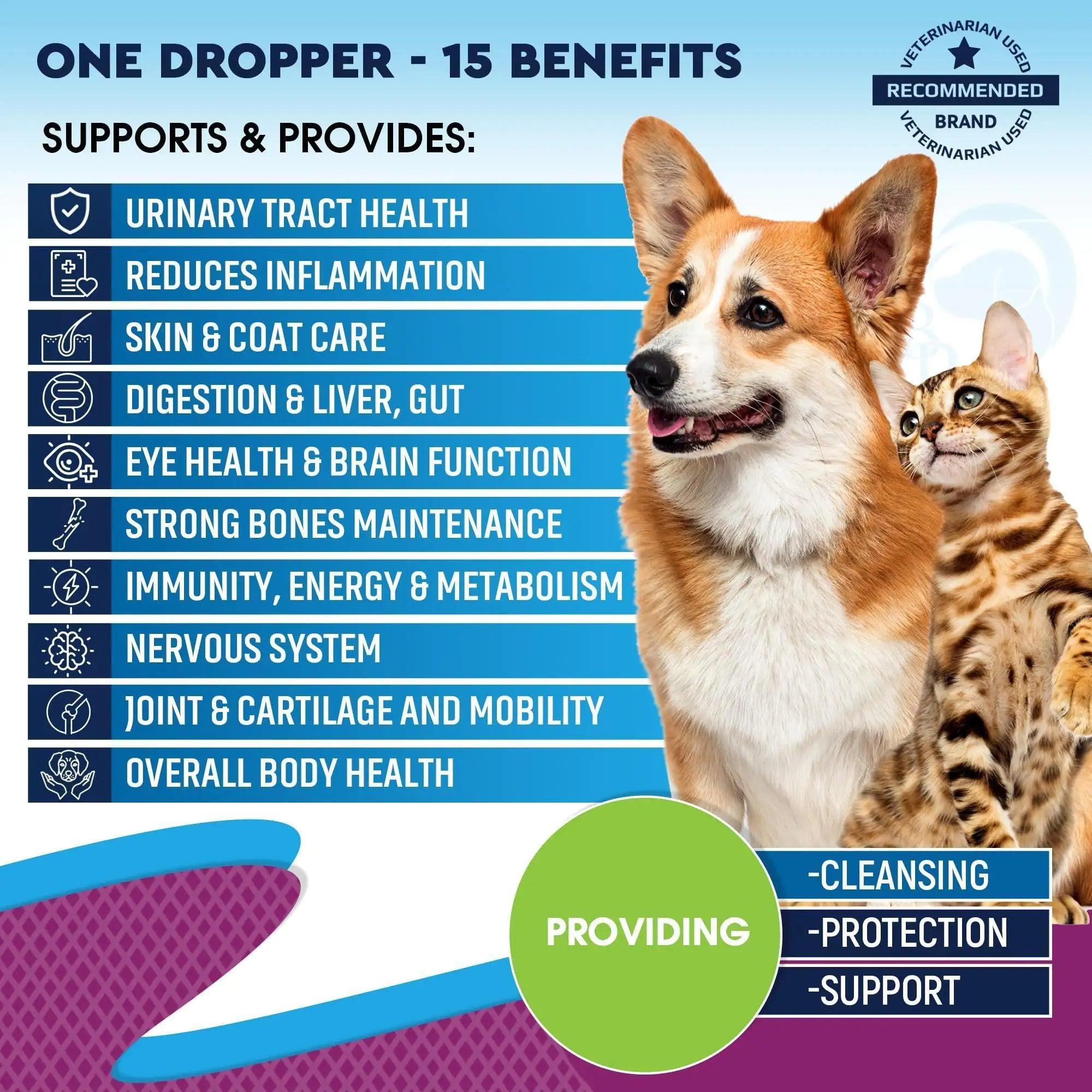 Pet Total Wellness Multivitamin Liquid with Glucosamine & Cranberry - MANDOTOS