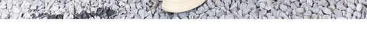 Plus Size American Hole Plus Size Ladies High Waist Straight-leg Denim - MANDOTOS