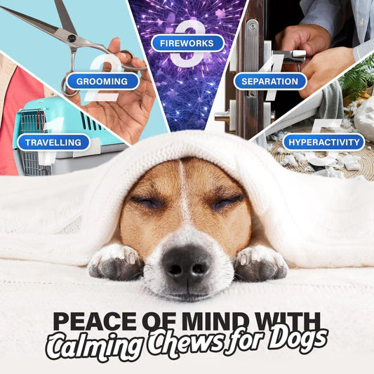 Serenity Dog Chews - 90 Chicken Flavor - MANDOTOS
