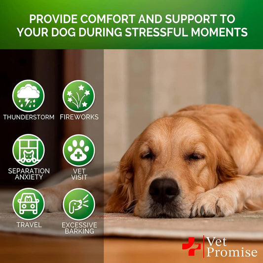 Soothing Hemp Dog Treats for Anxiety - 120 Pack - MANDOTOS
