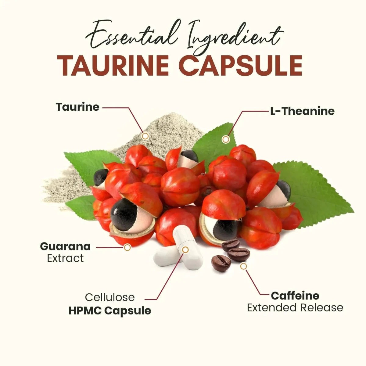 Caffeine Pills Alternative to an Energy Drink Energy Gel Energy Gummies 60 Pills - MANDOTOS INTERNATIONAL